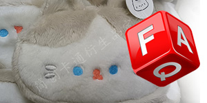 Plushies Meaning vs Plush Meaning